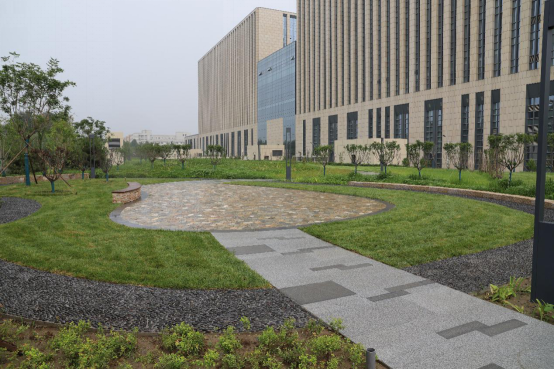 bw必威西汉姆联