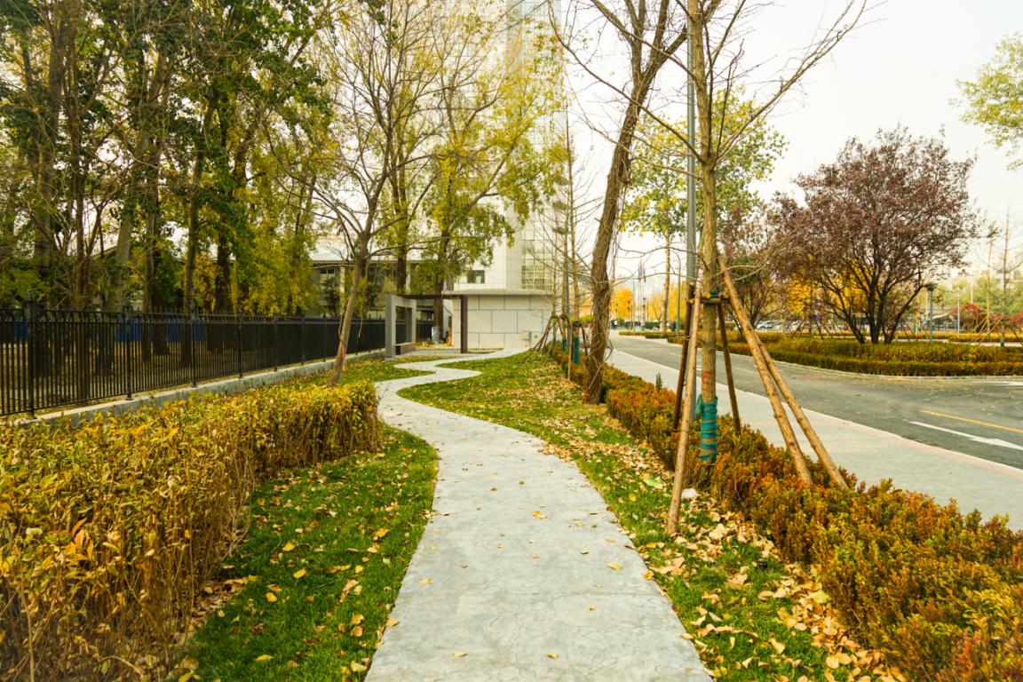 2af8dbb508022afee81297291209fd7