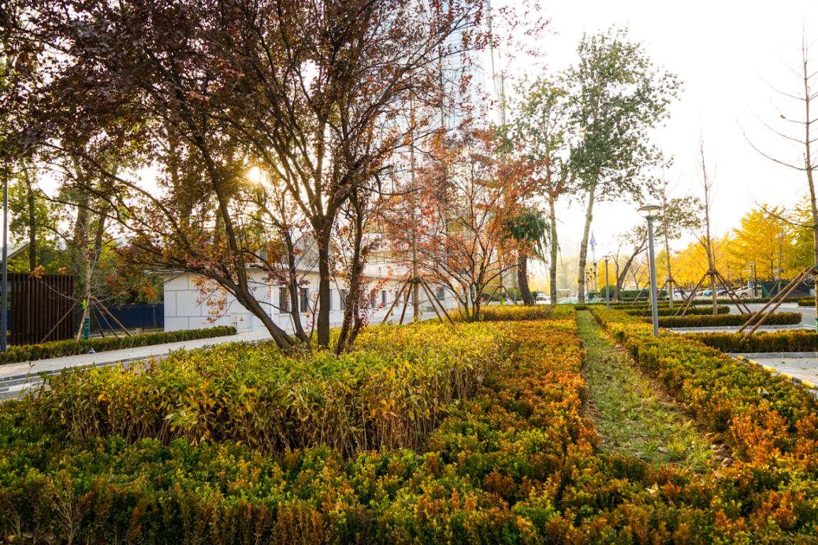 0d667861f21375ad3f941fc557208bb