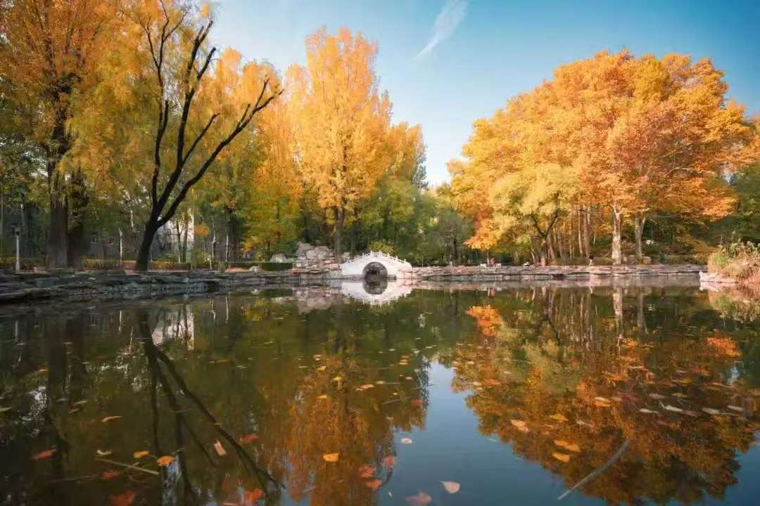 bw必威西汉姆联